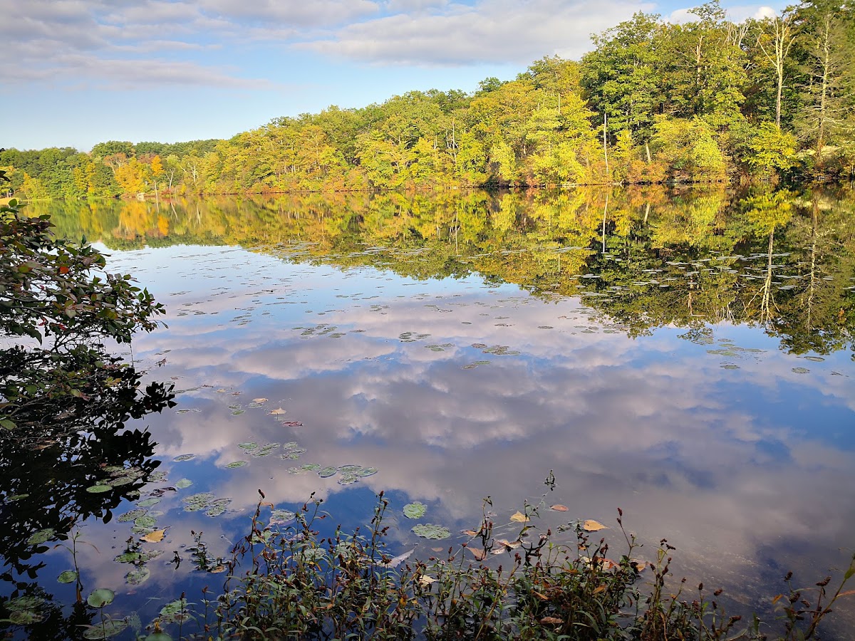 Fahnestock State Park
