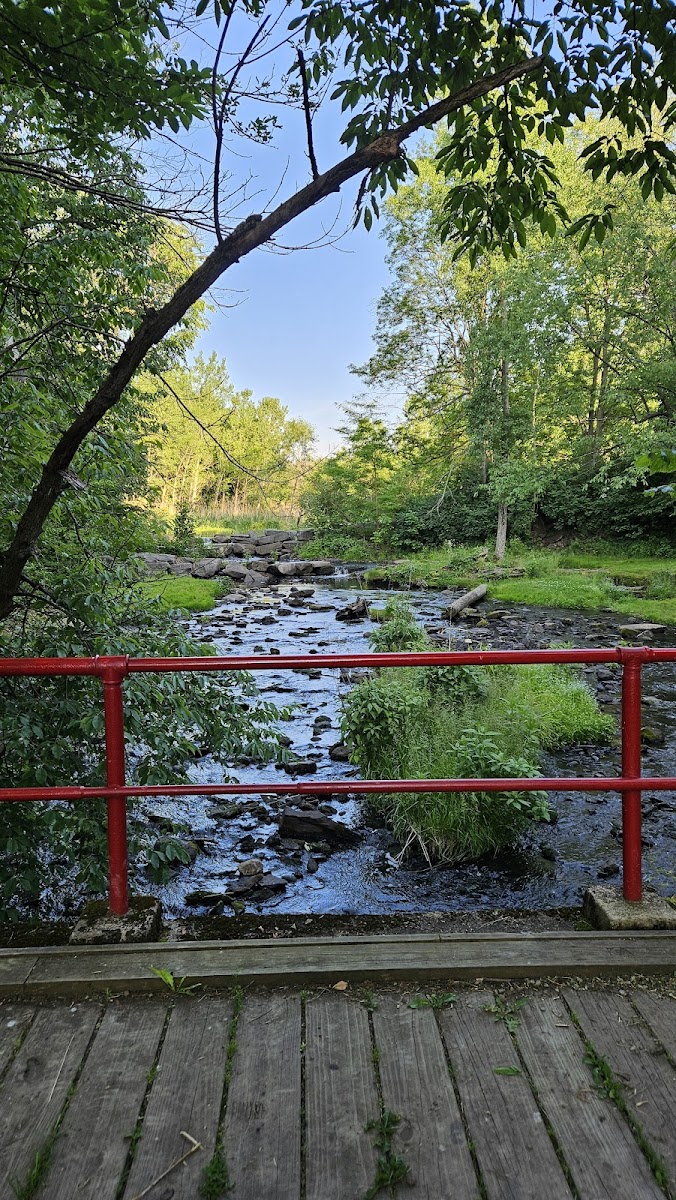 Suny Oswego Fallbrook Lodge photo 3