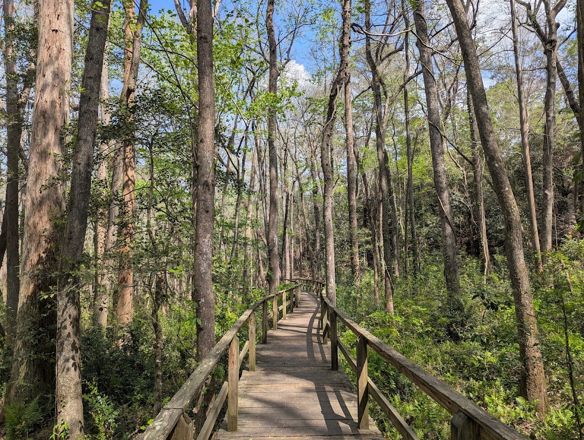 Kalmia Gardens