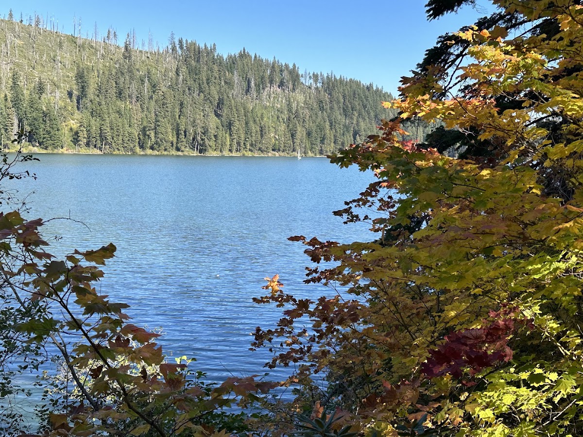 Suttle Lake