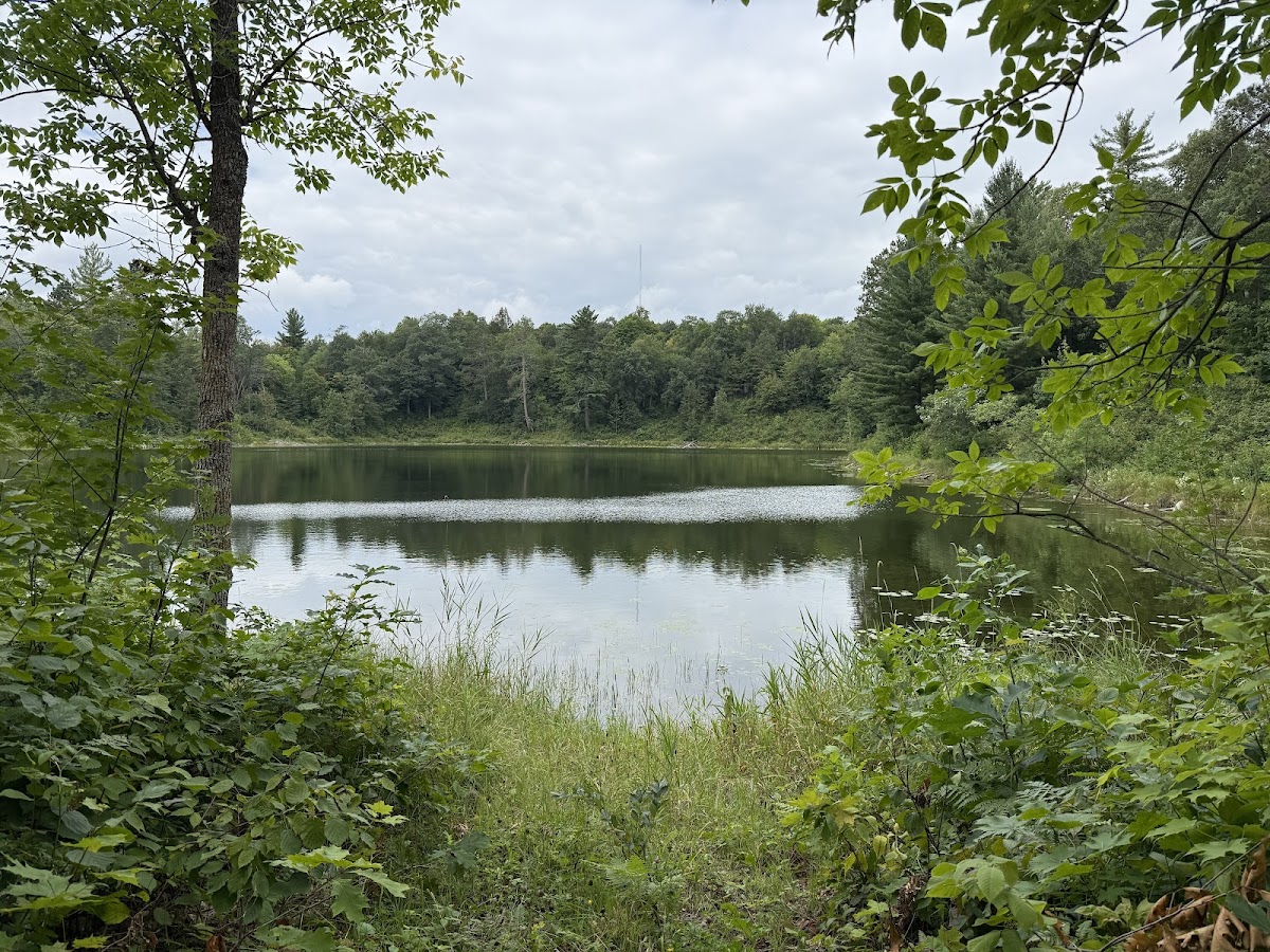 Smoky Hills State Forest