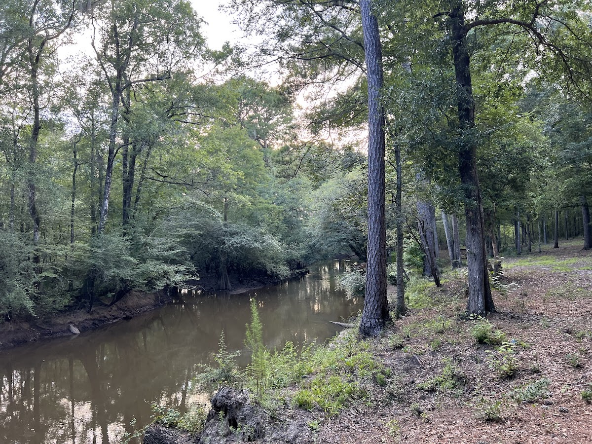 Ogeechee Crossing Park