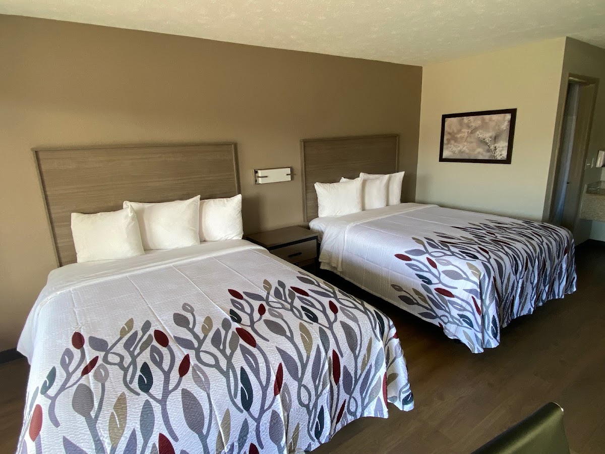 Red Roof Inn Jacksonville, AL photo 2
