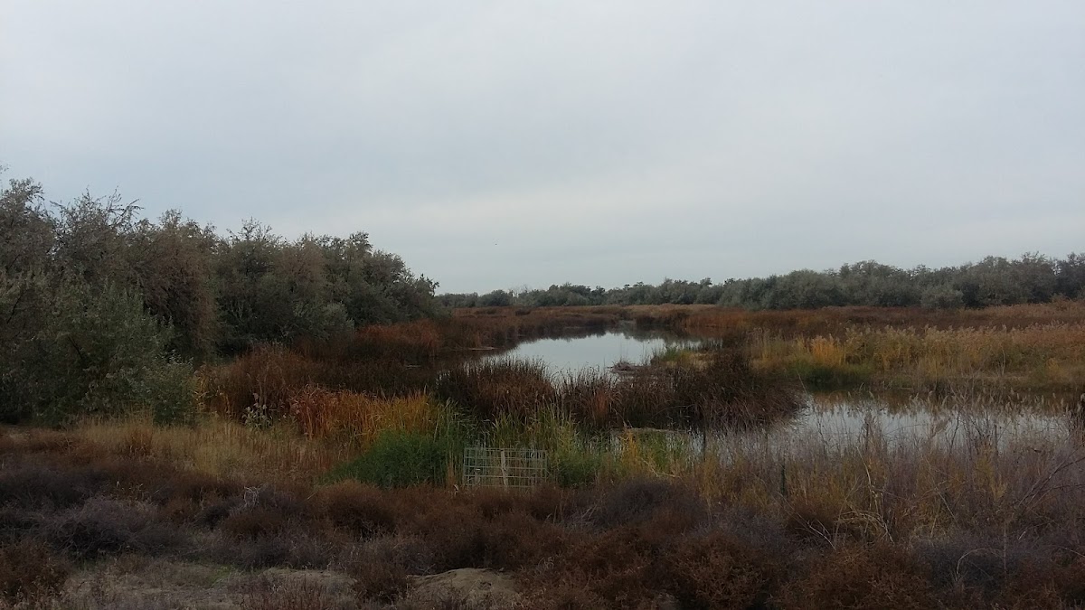 Umatilla National Wildlife Refuge