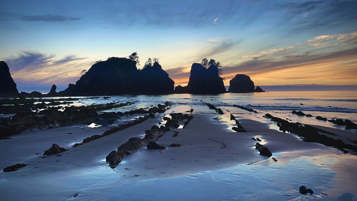 Shi-Shi Beach