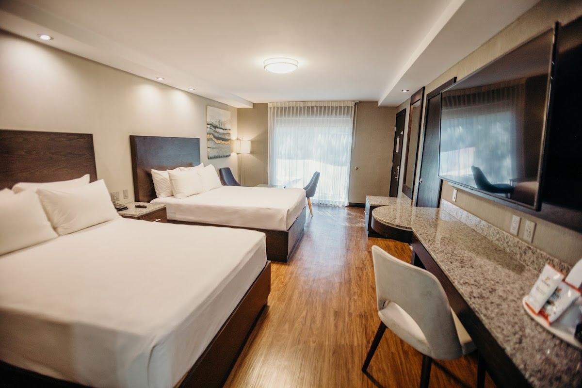 Calafia Hotel photo 2