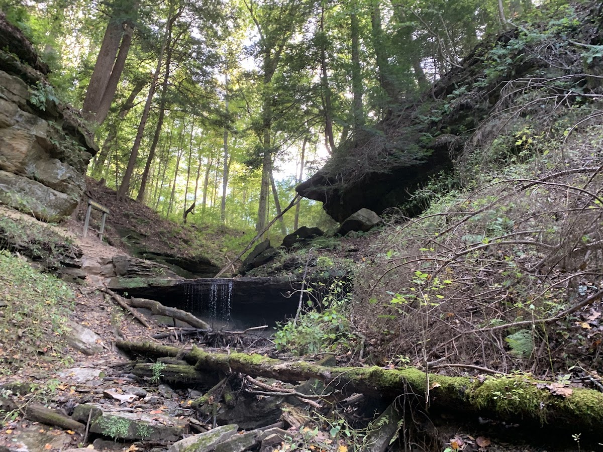 Shades State Park