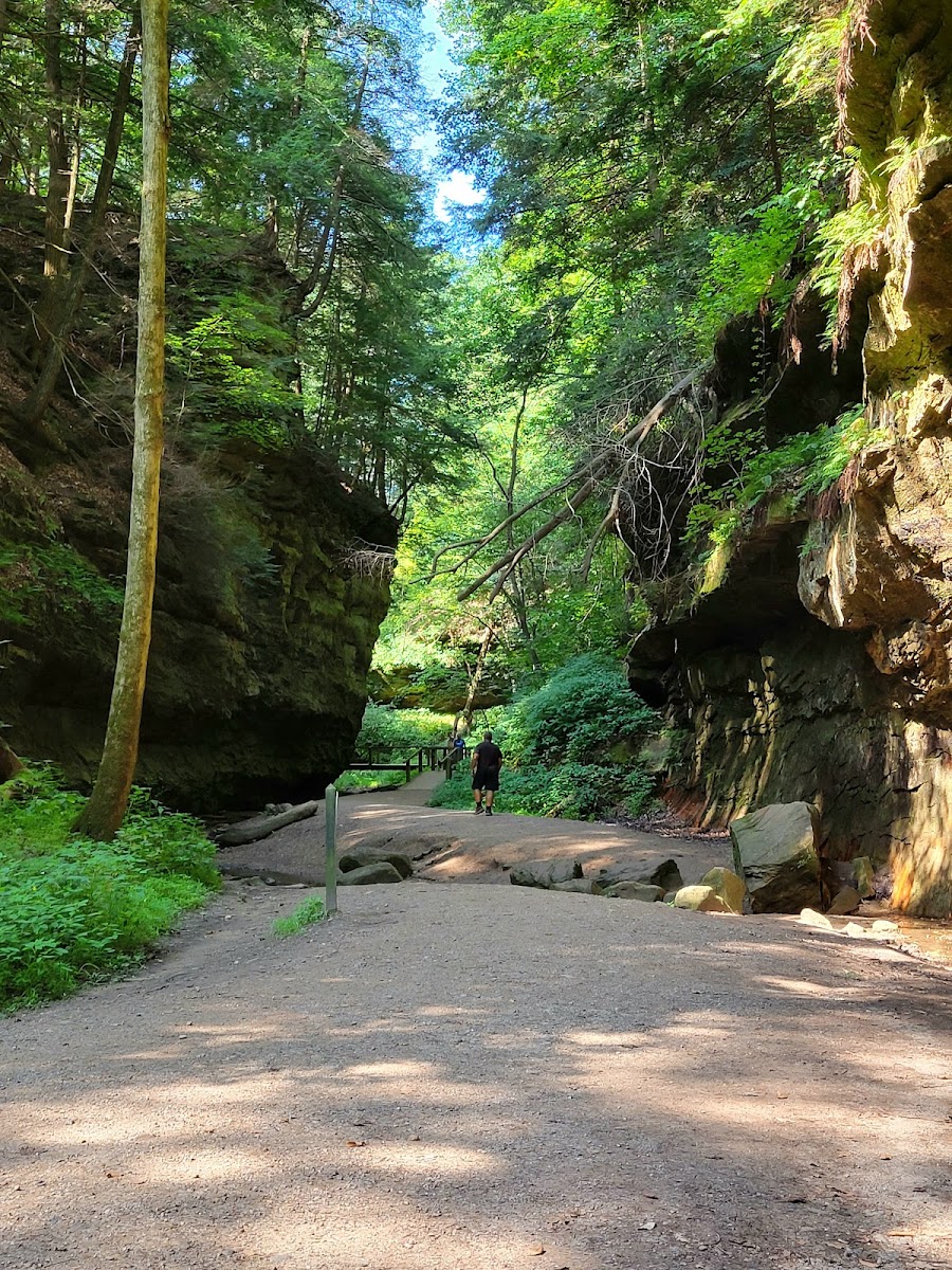 Trail #3 at Turkey Run State Park