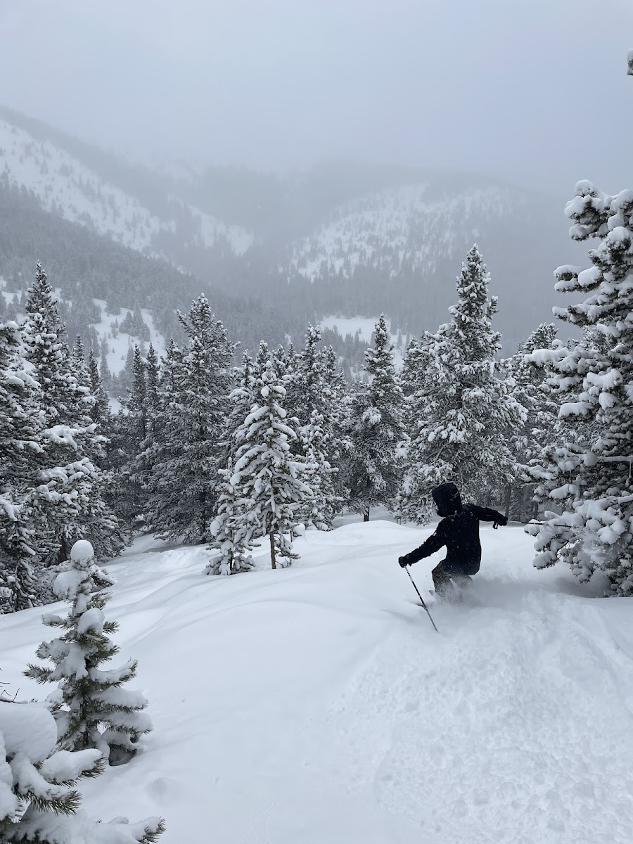 Ski Cooper photo 2