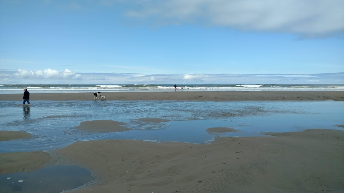 Grayland Beach State Park