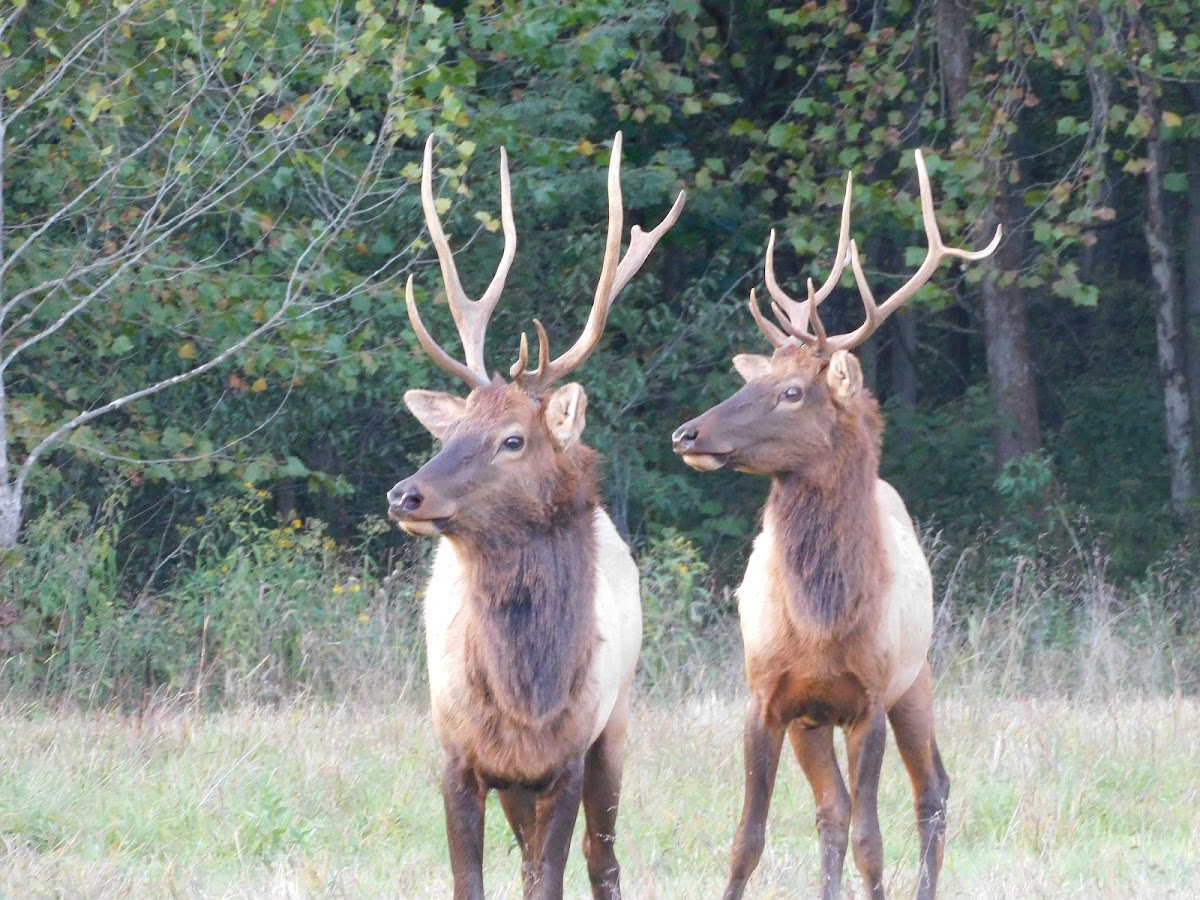 Peck Ranch Conservation Area