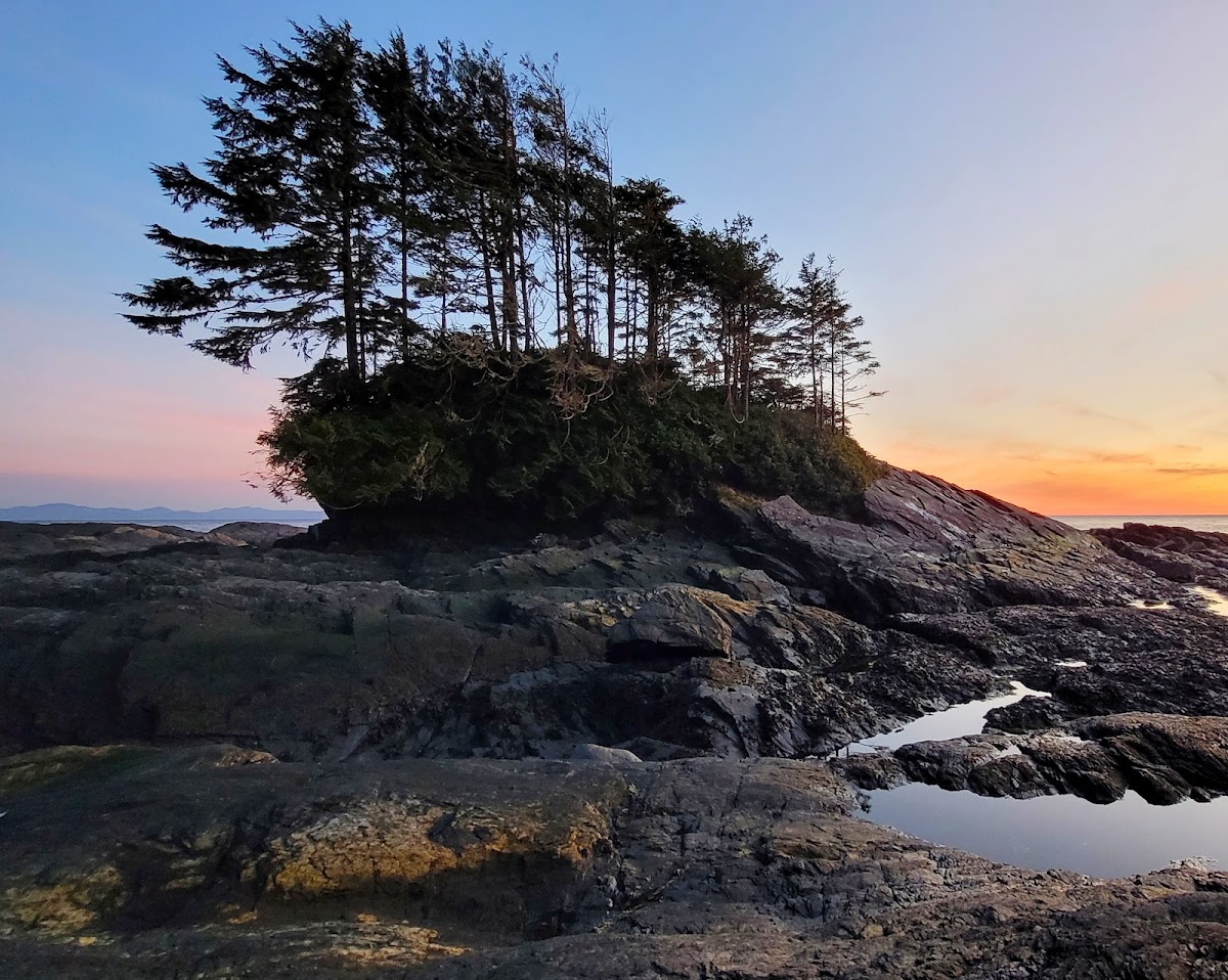 Botanical beach