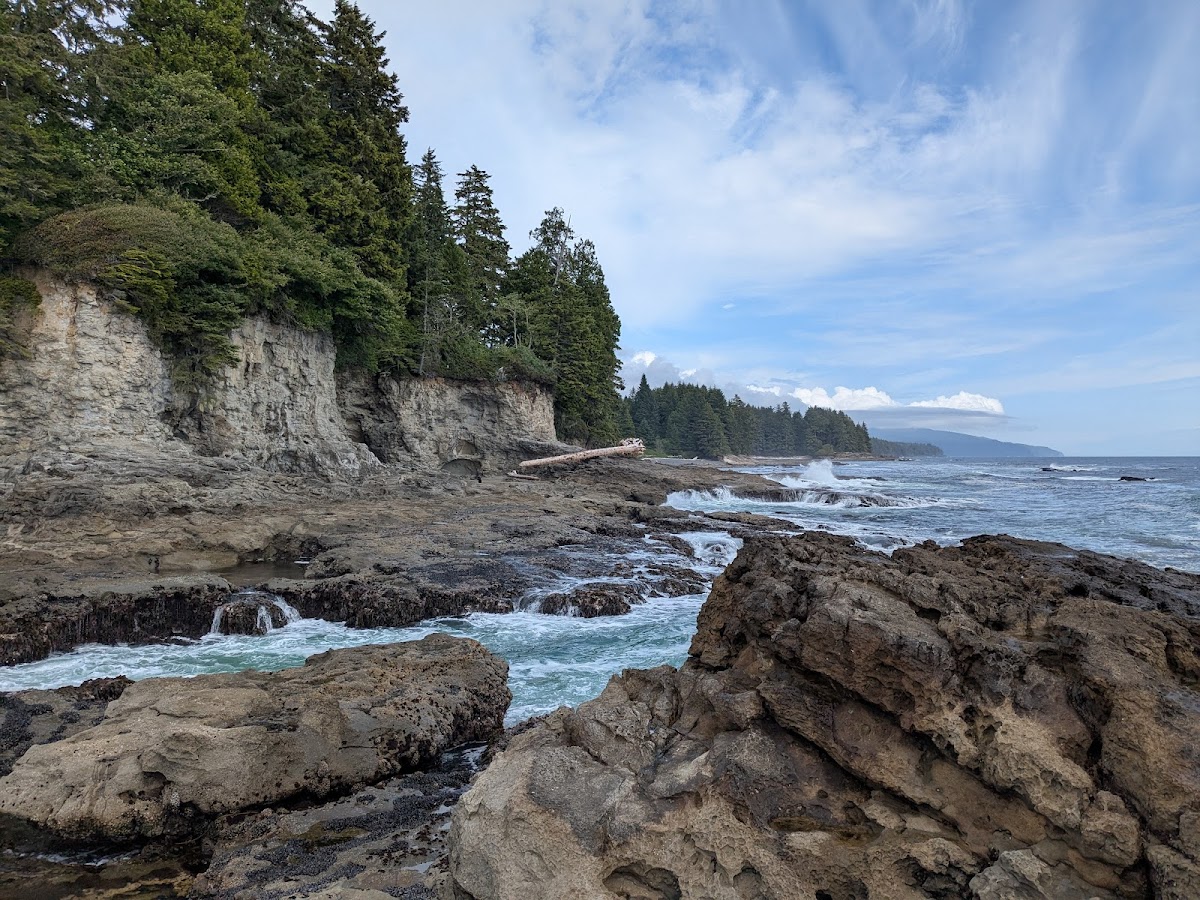 Botanical Beach