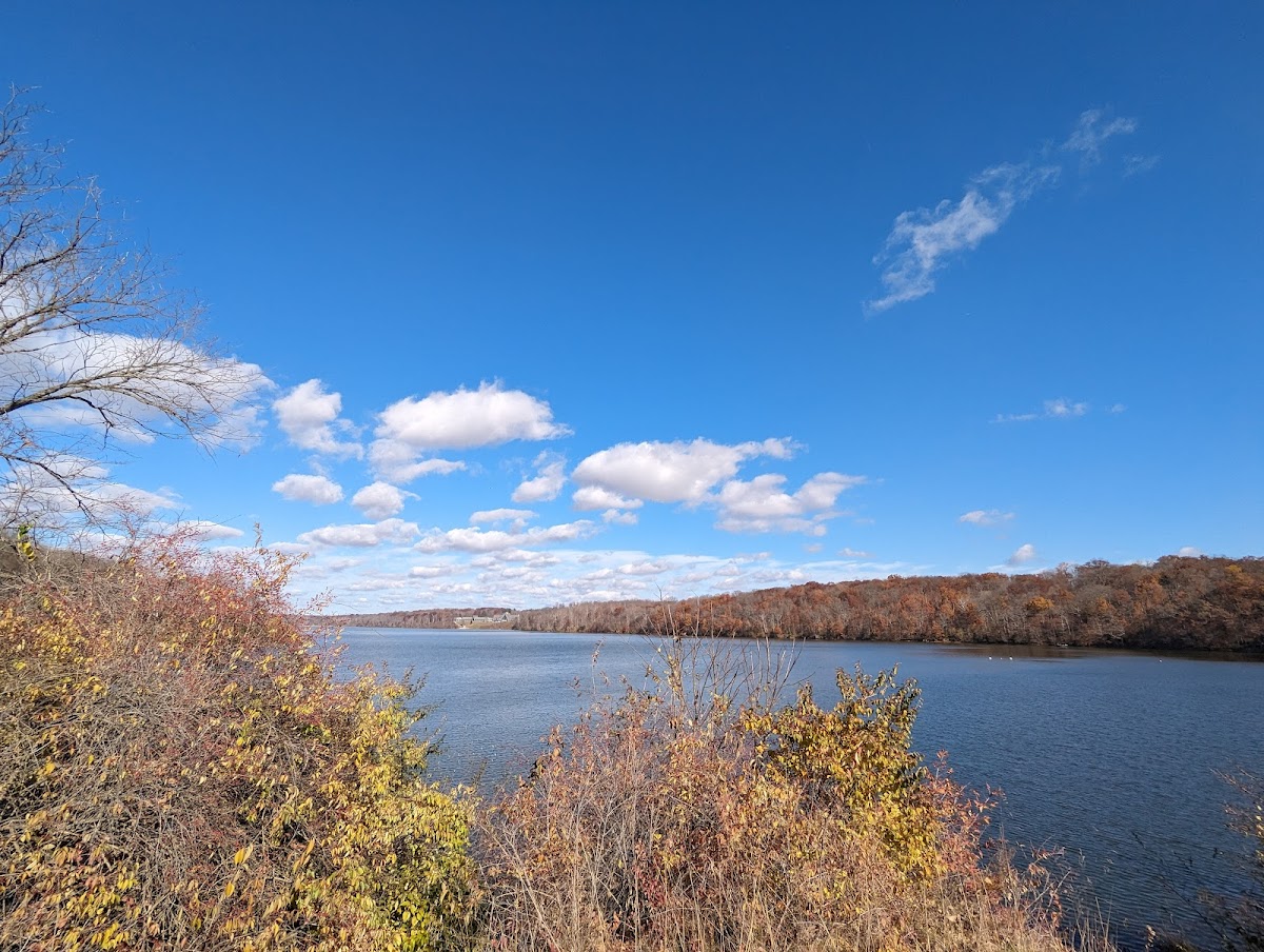 Acton Lake