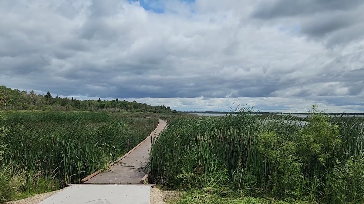 Grace Lake Boardwalk