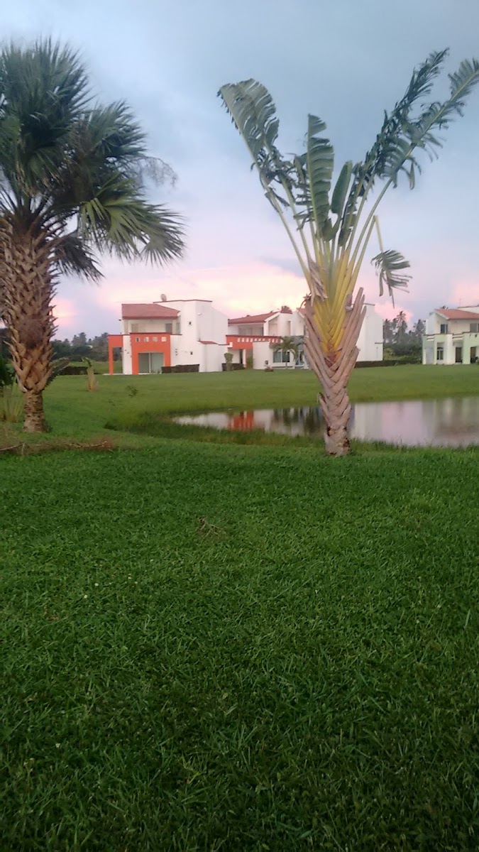 playa pelicanos