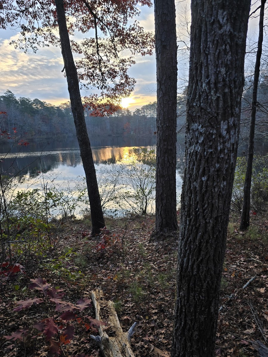 Choccolocco Wildlife Management Area