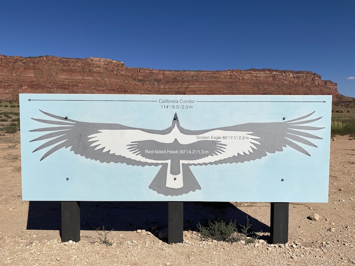 Condor Viewing Site