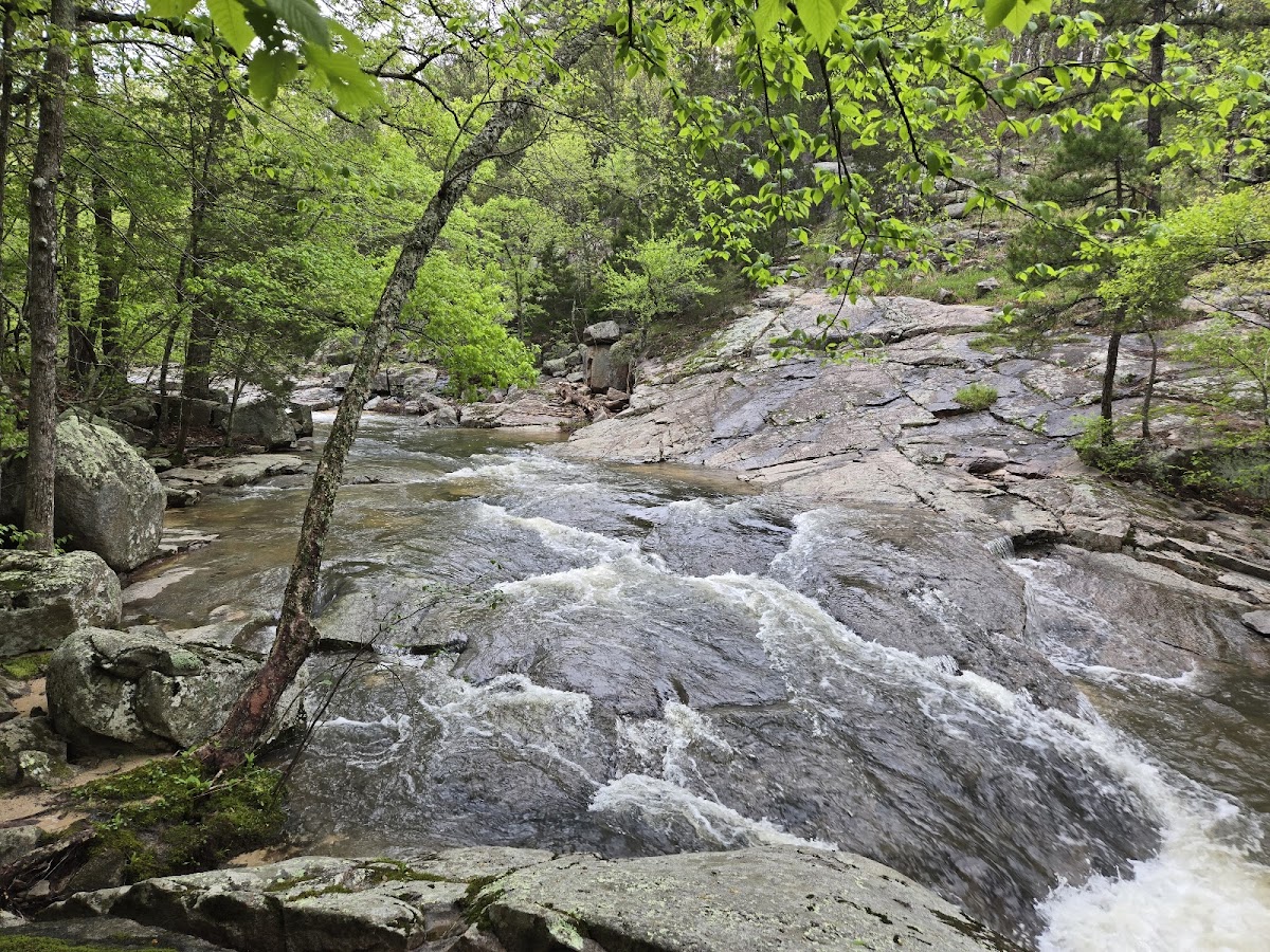 Hawn State Park