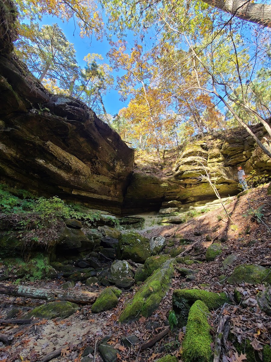 Pickle Springs Natural Area