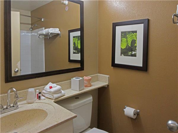Suburban Studios Raleigh - Crabtree Valley photo 2