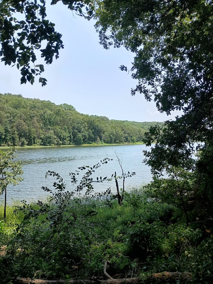 Lake Alma