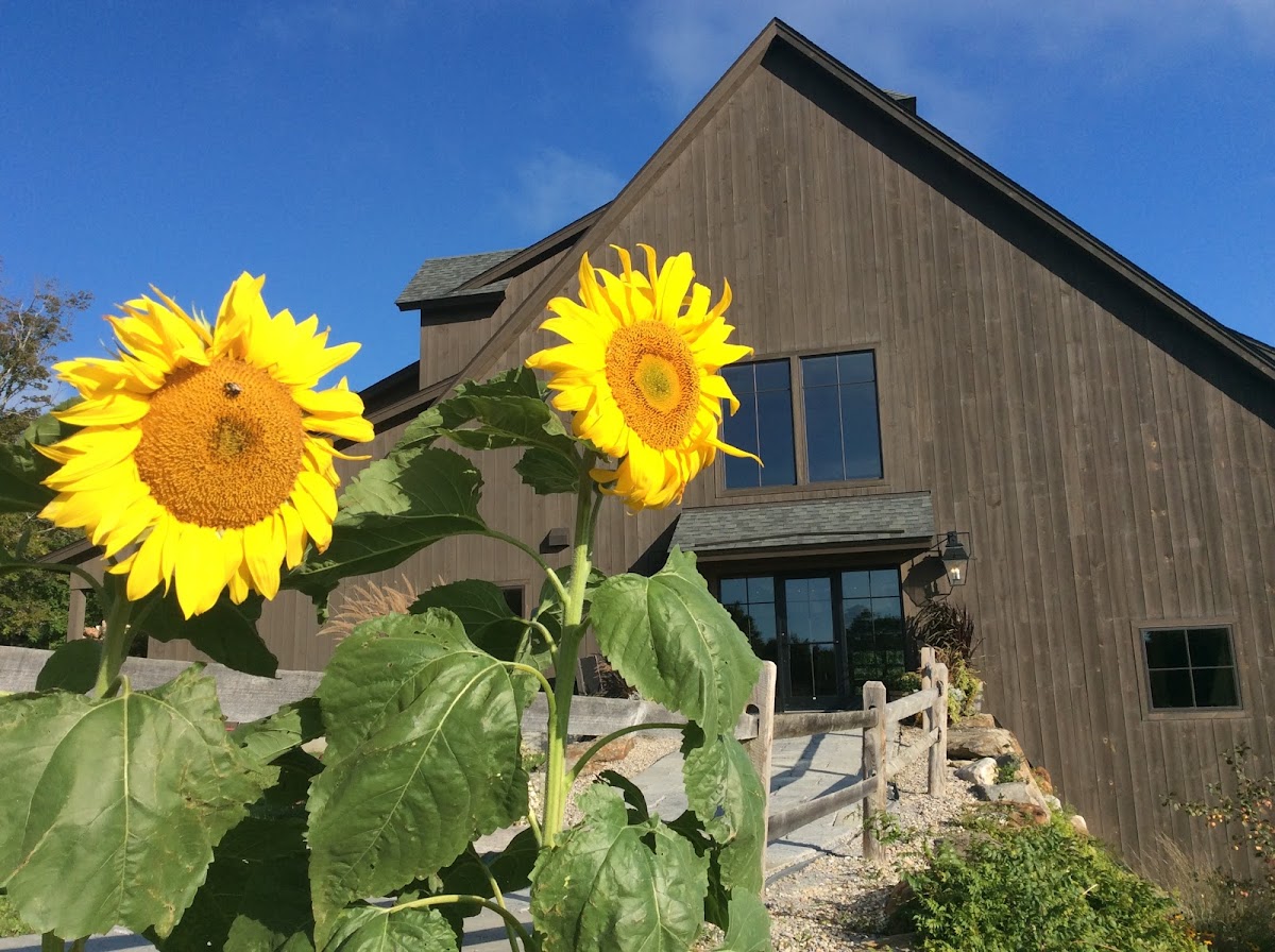 Mountain Top Resort photo 3