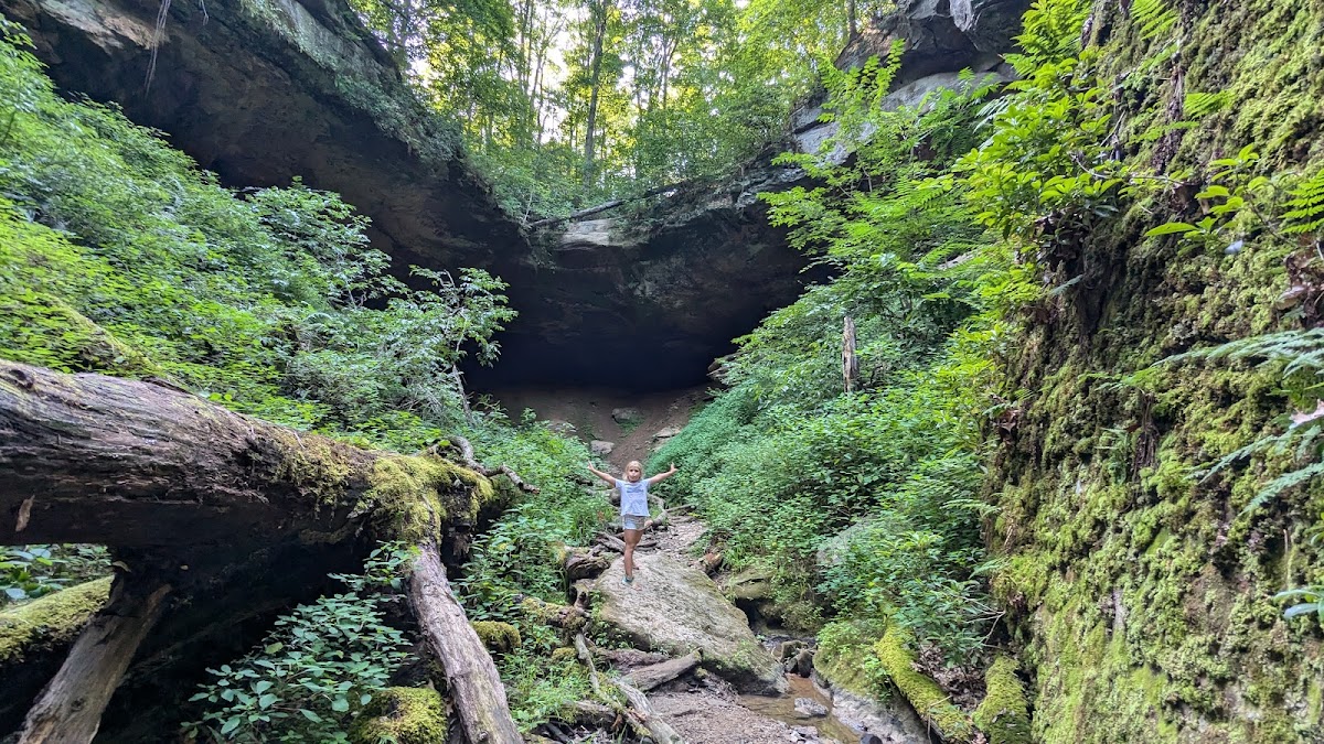 Hosak's Cave