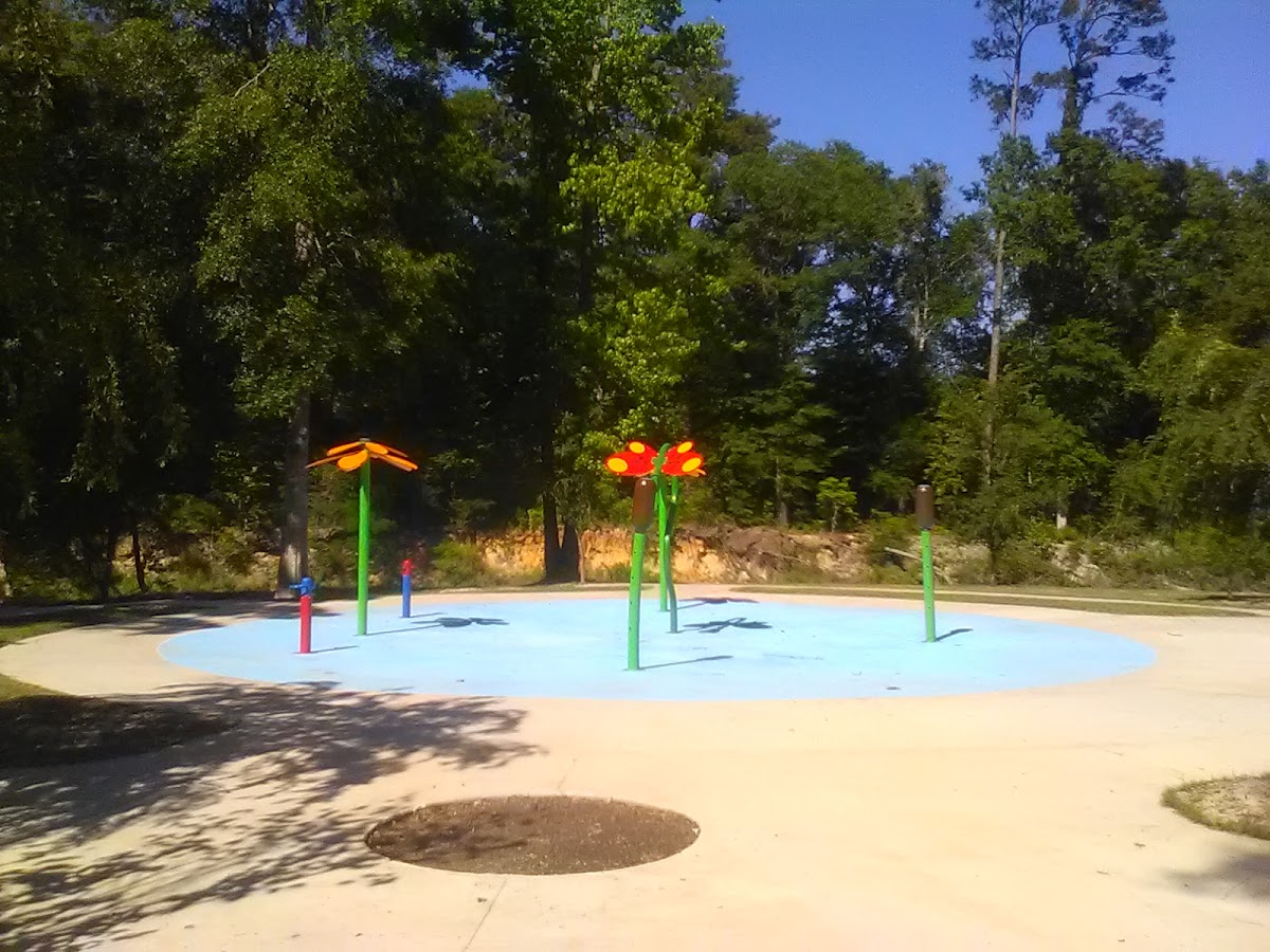Cassidy Park