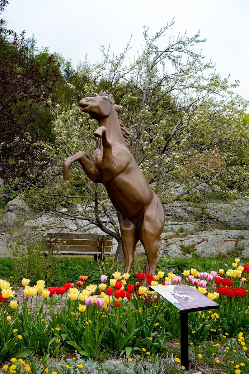 Jardin Floral De La Pocatière