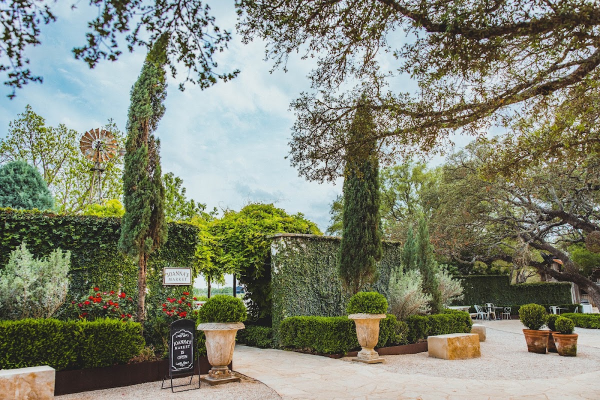 Signor Vineyards
