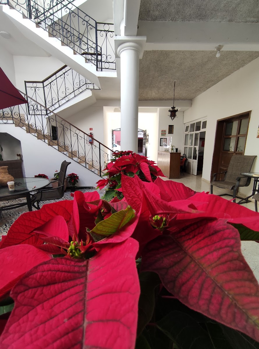 HOTEL ALDAMA photo 3