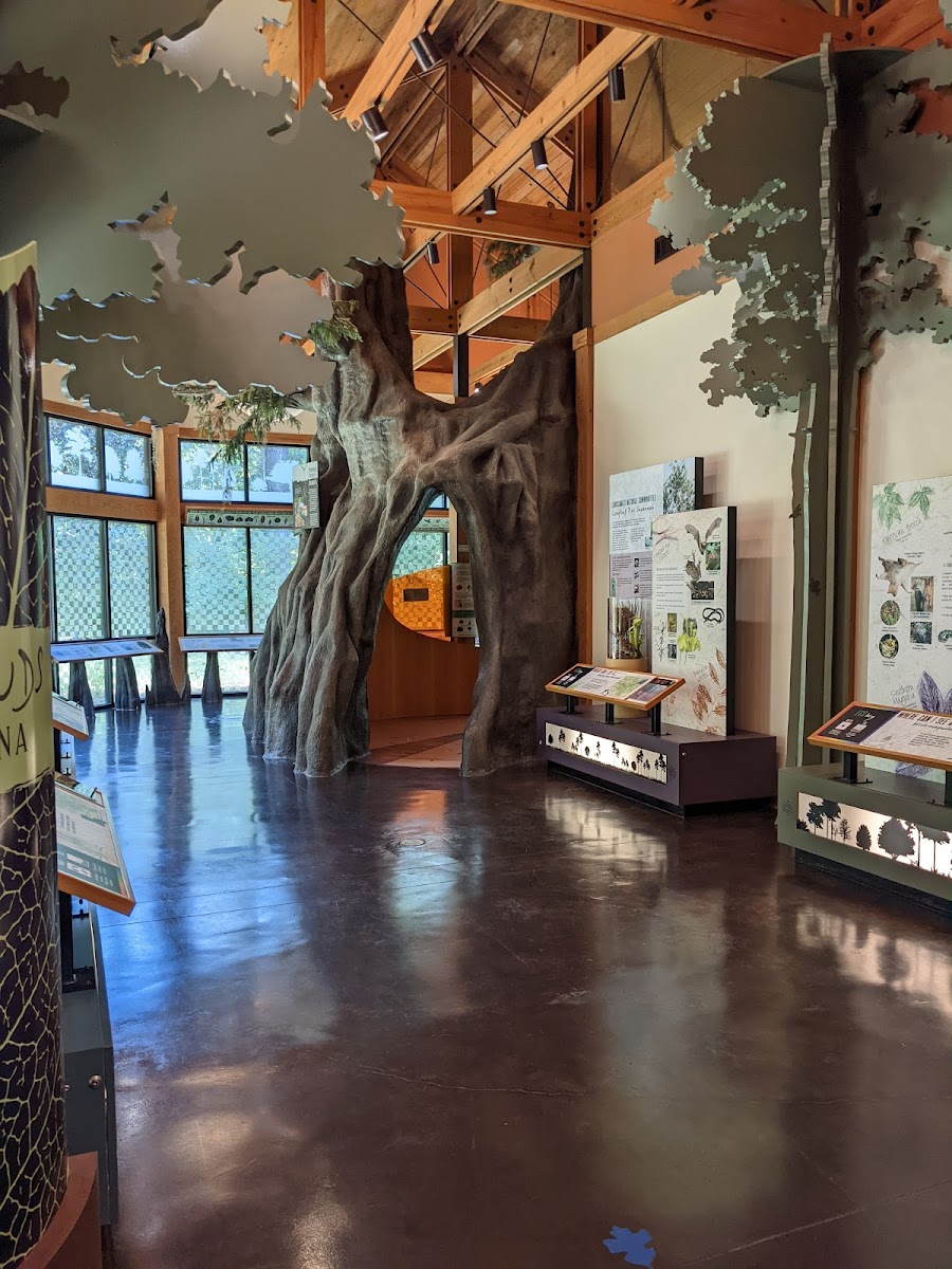 Louisiana State Arboretum State Preservation Area