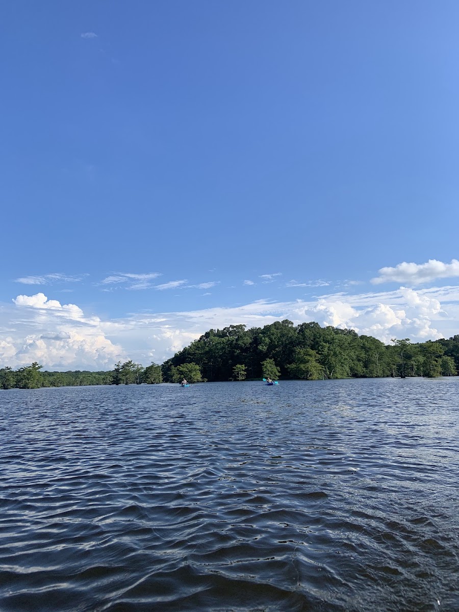 Lake Chicot