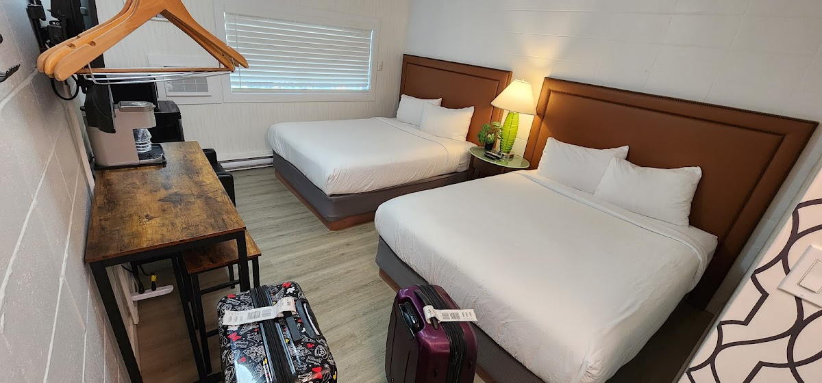 The Spot - A Boutique Hotel photo 2