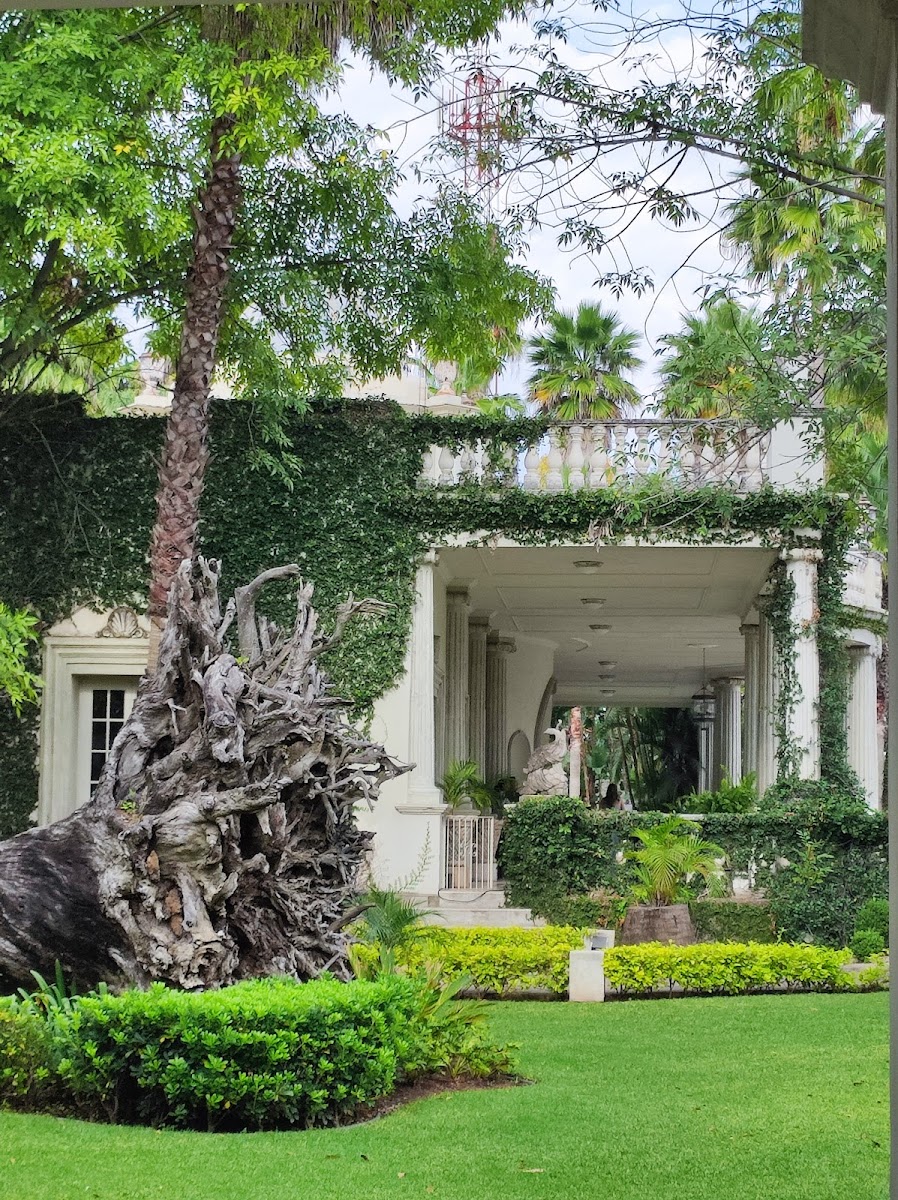 Finca Hotel by ALOFA photo 3