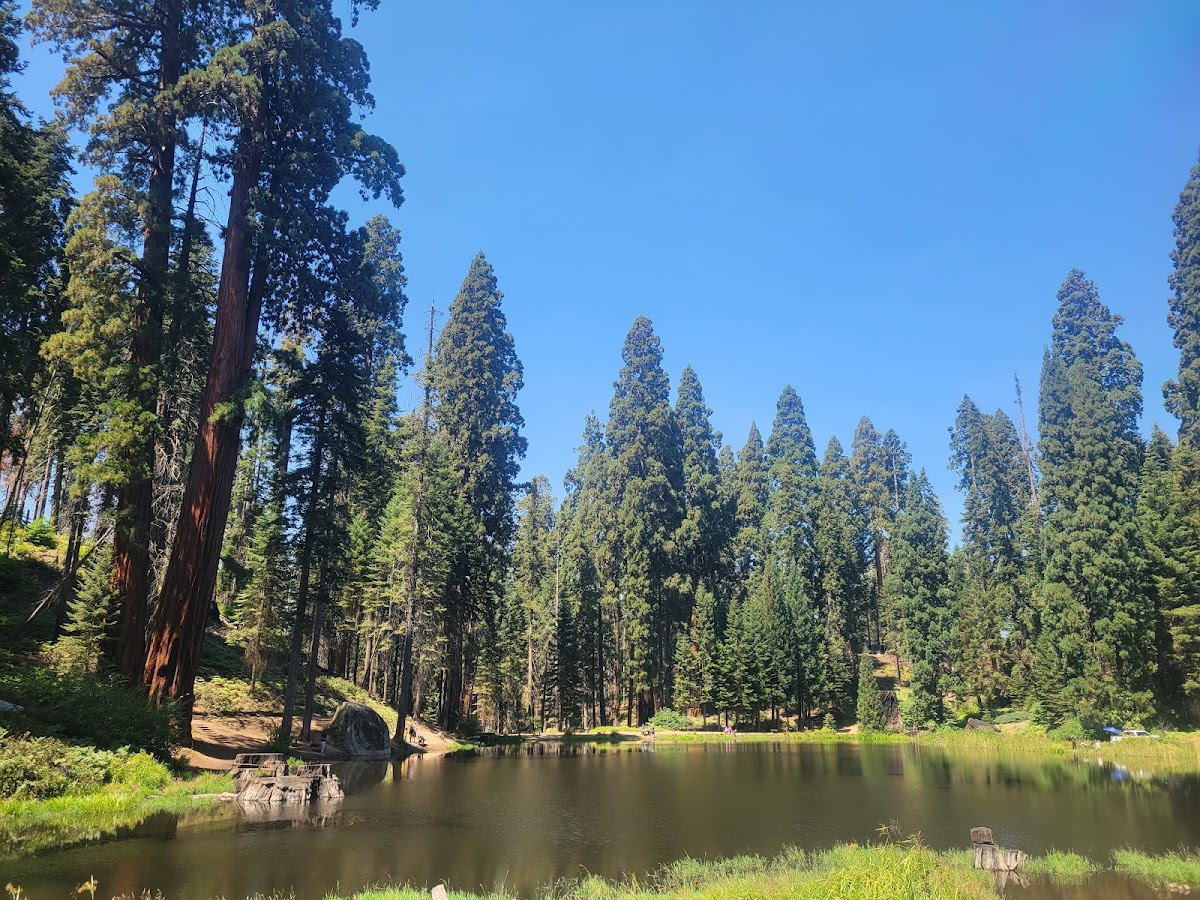 Balch Park