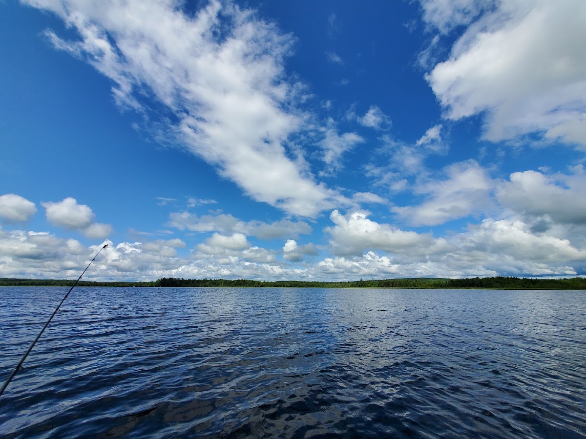 Wesserunsett Lake