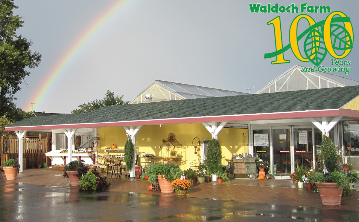 Waldoch Farm