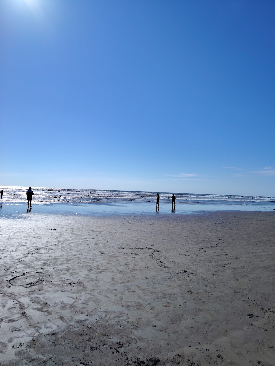 Playa Novillero NAYARIT
