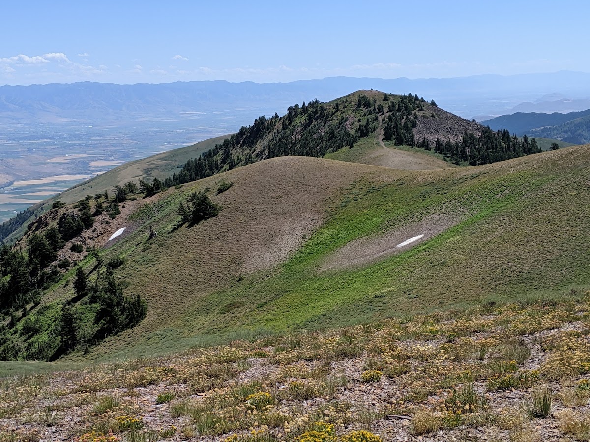 Oxford Peak