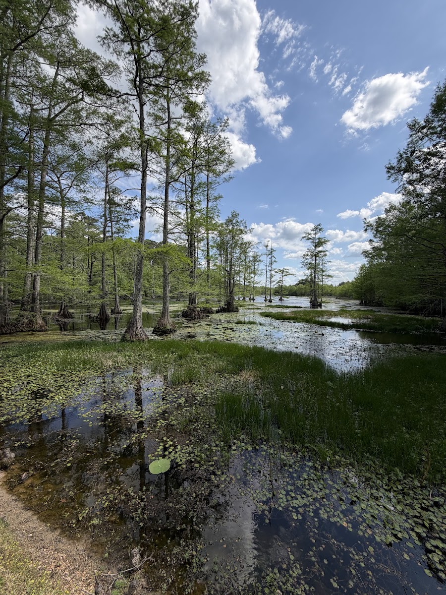 Sam D. Hamilton Noxubee National Wildlife Refuge Admin Building and Visitor Contact Station