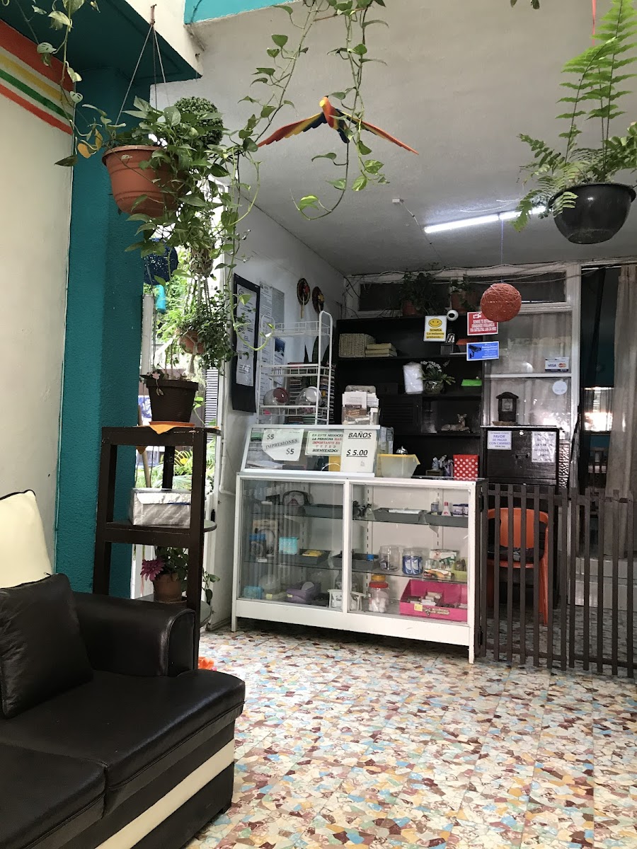 Hotel Hostal Del Pozo photo 3