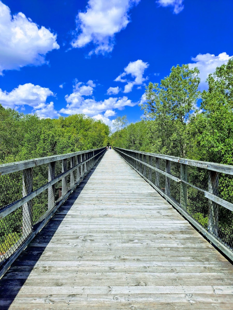 Mill Creek Trestle