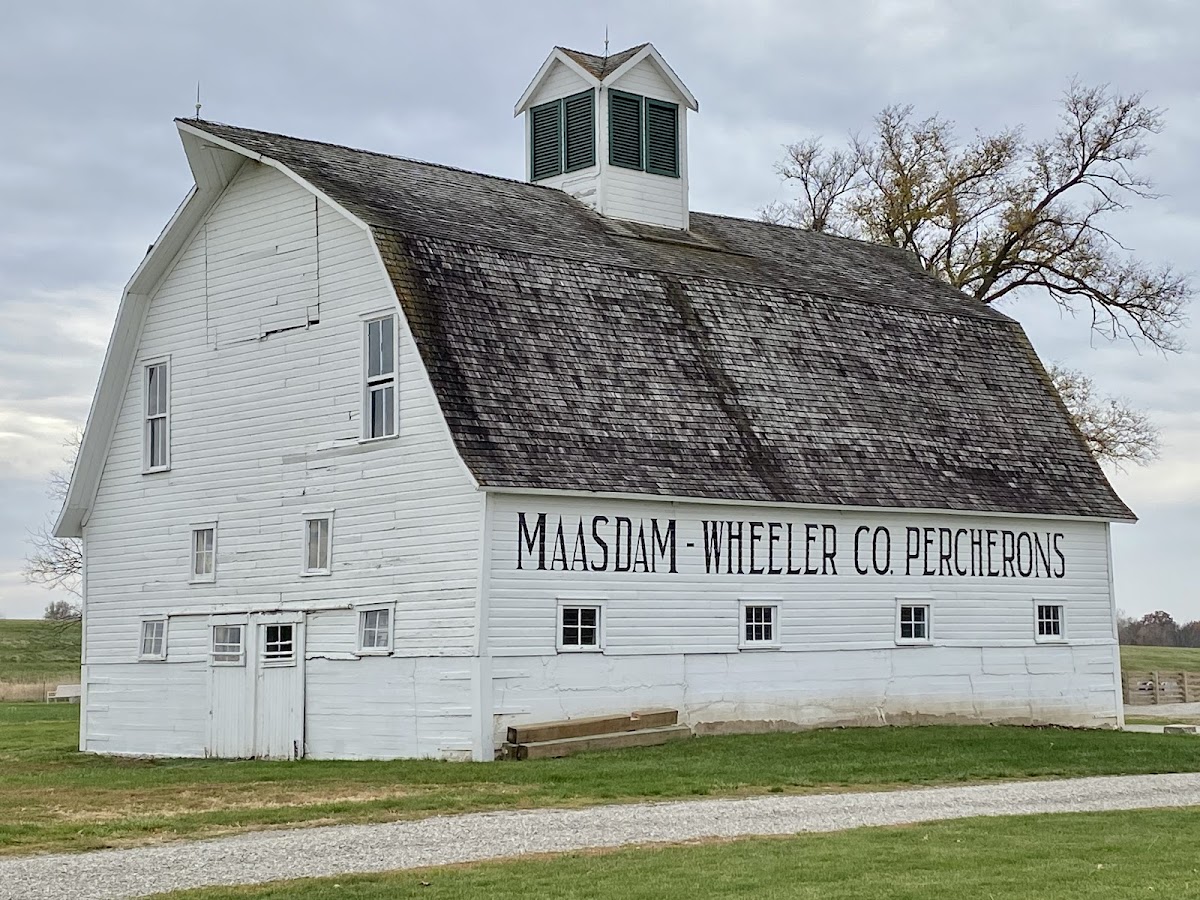 Maasdam Barns