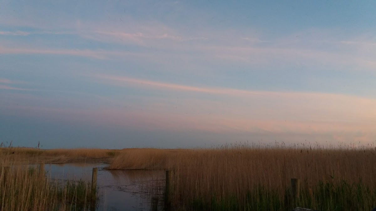 Wigwam Bay State Wildlife Area