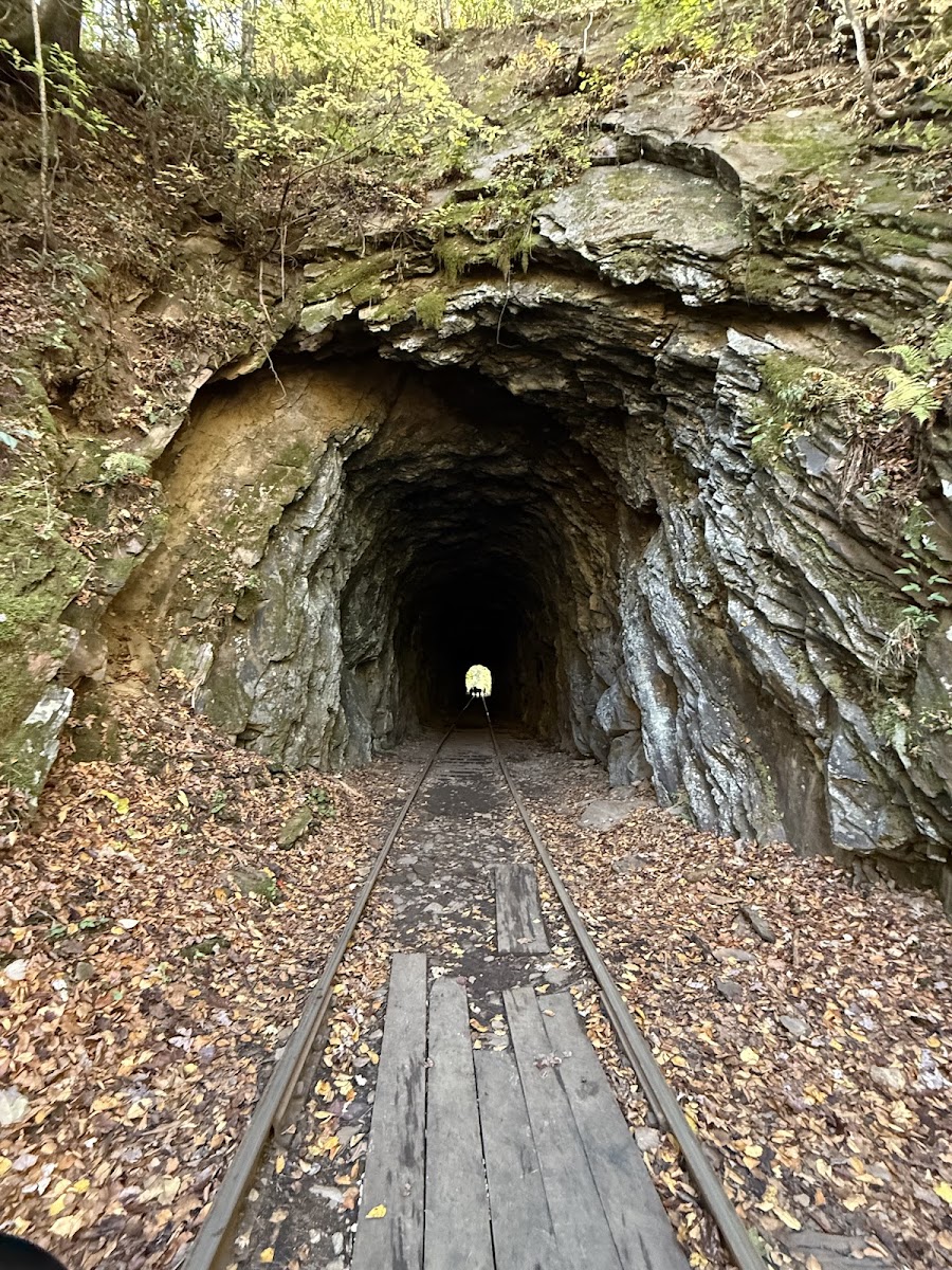 Andrews Valley Rail Tours