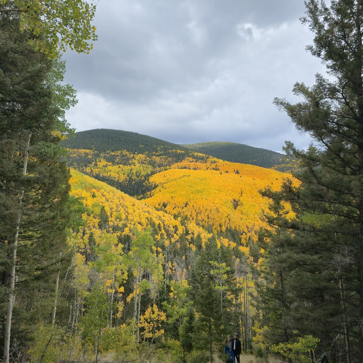 Santa Fe National Forest