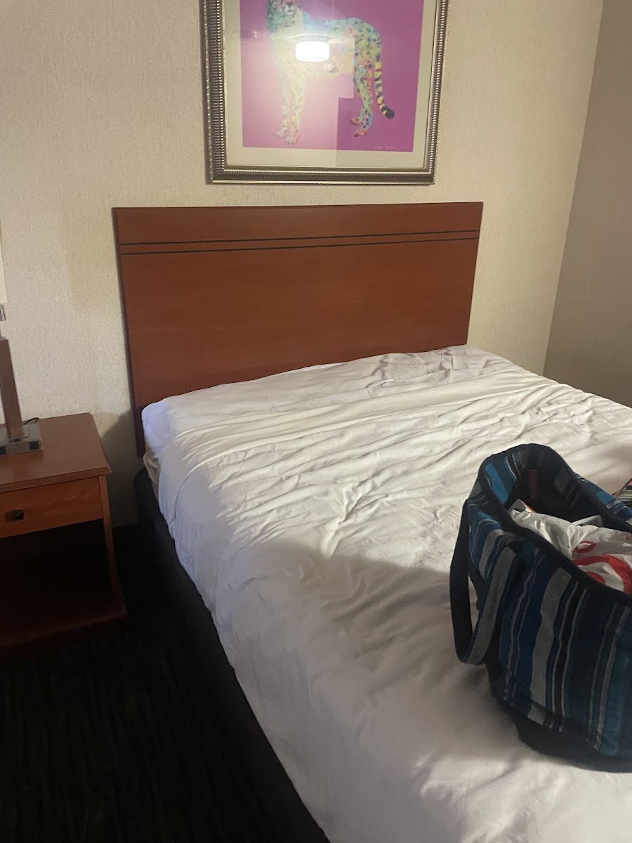 Omaha Zoo Hotel