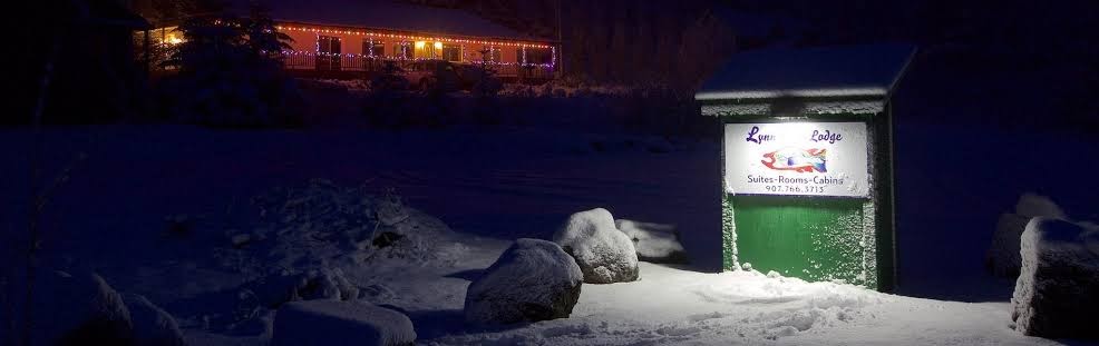 Lynn View Lodge, Cabins, & Rental Cars photo 3